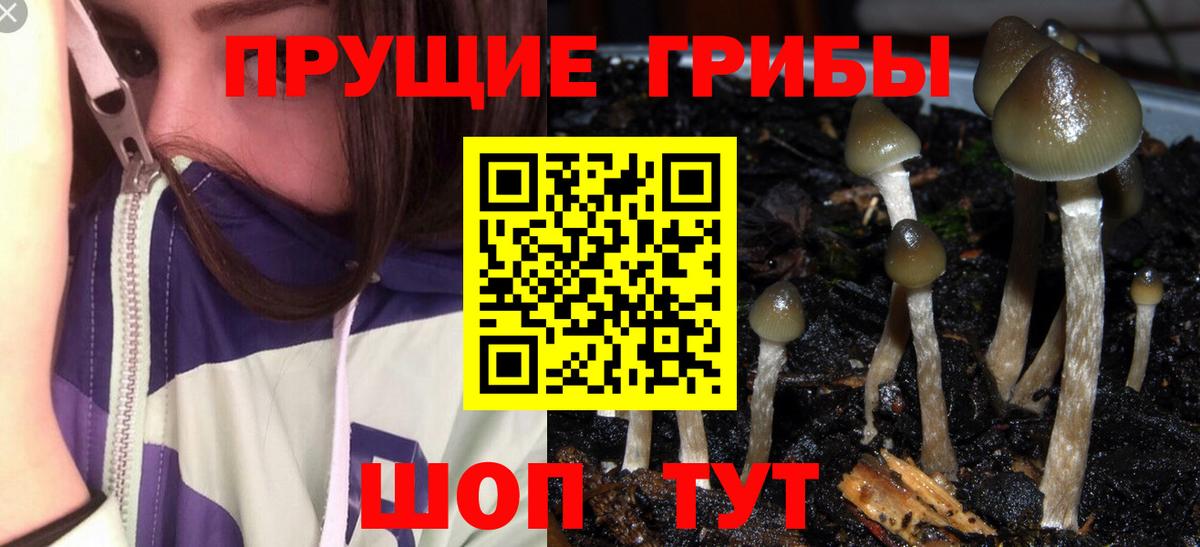 Псилоцибиновые грибы прущие грибы Находка