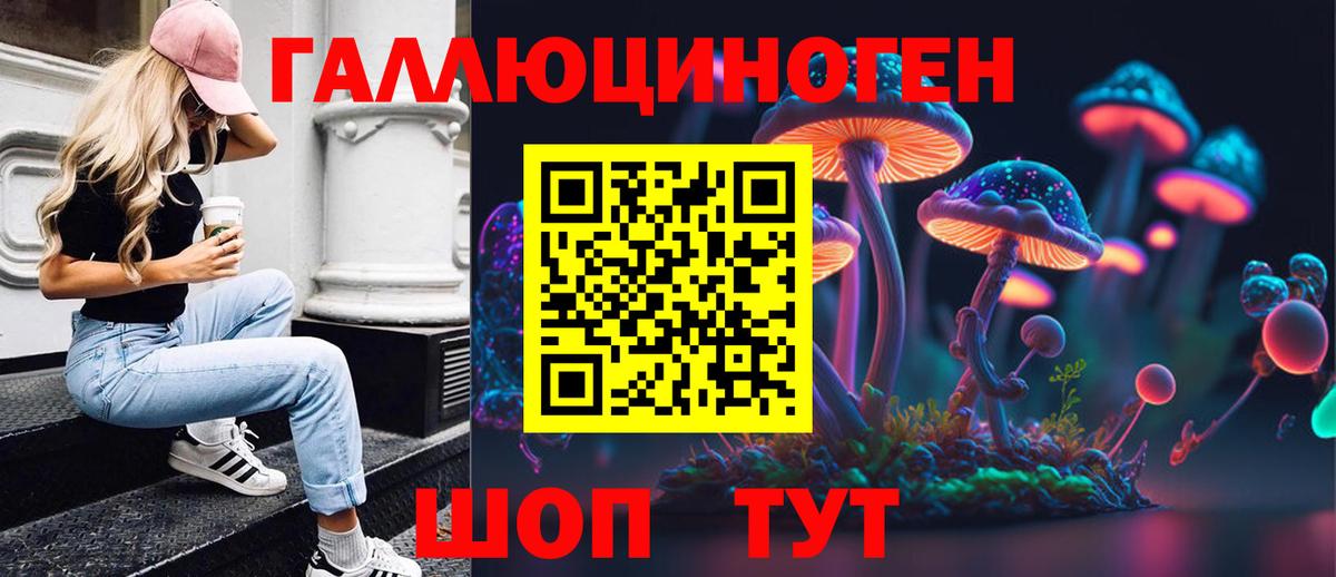 Галлюциногенные грибы Psilocybine cubensis  Вход с VPN  Находка 