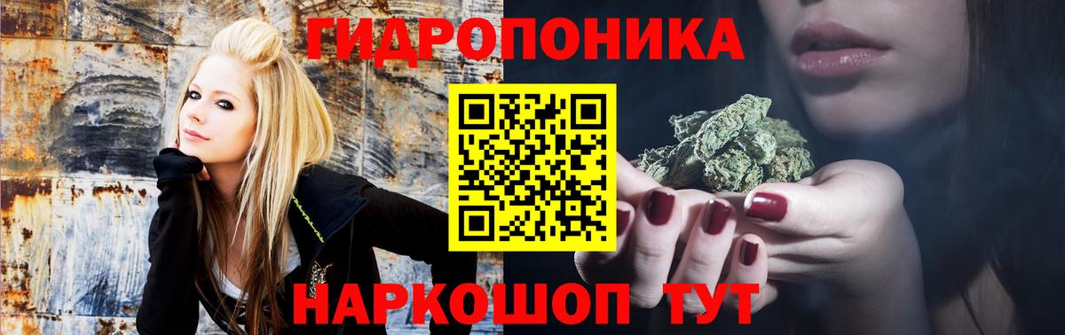 Конопля тримм  МАРИХУАНА тримм  Находка  Вход с VPN 